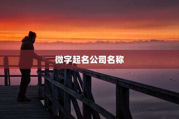 微字起名公司名称