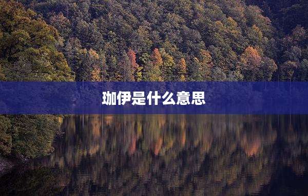 珈伊是什么意思