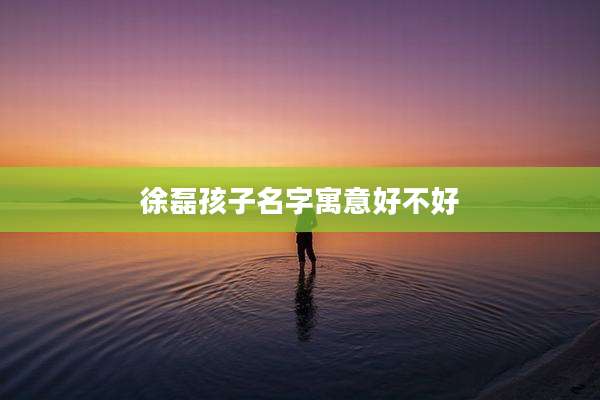 徐磊孩子名字寓意好不好
