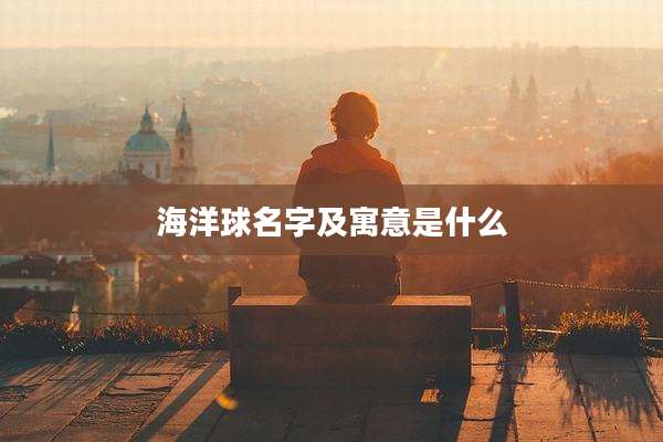 海洋球名字及寓意是什么