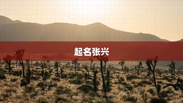 起名张兴