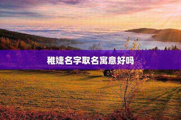 稚婕名字取名寓意好吗