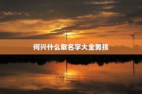 何兴什么取名字大全男孩