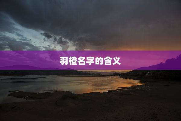 羽橙名字的含义