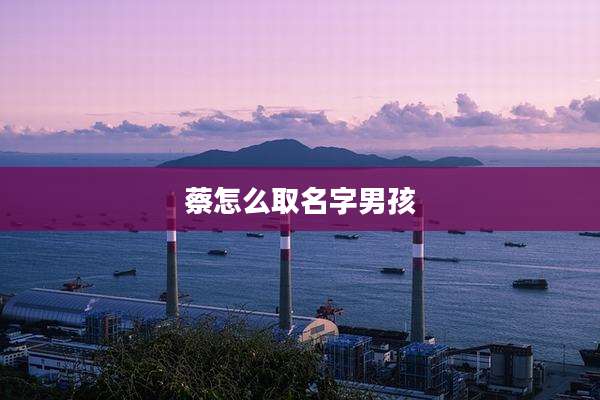 蔡怎么取名字男孩