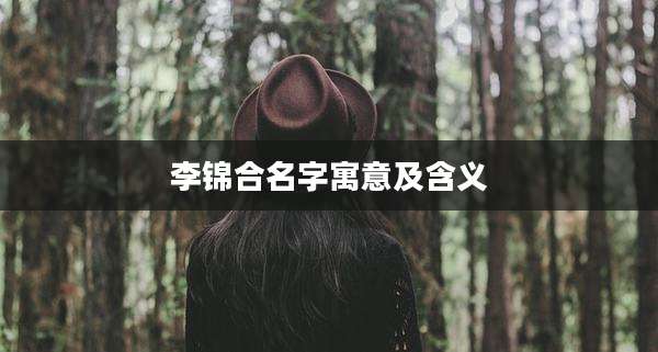 李锦合名字寓意及含义
