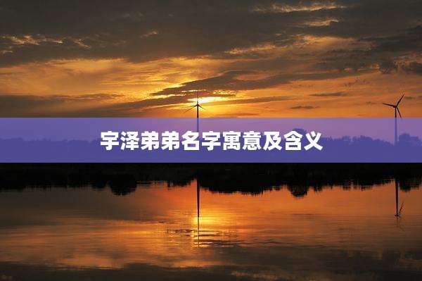 宇泽弟弟名字寓意及含义