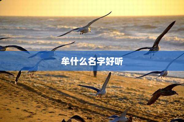 牟什么名字好听