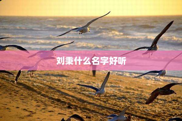 刘秉什么名字好听