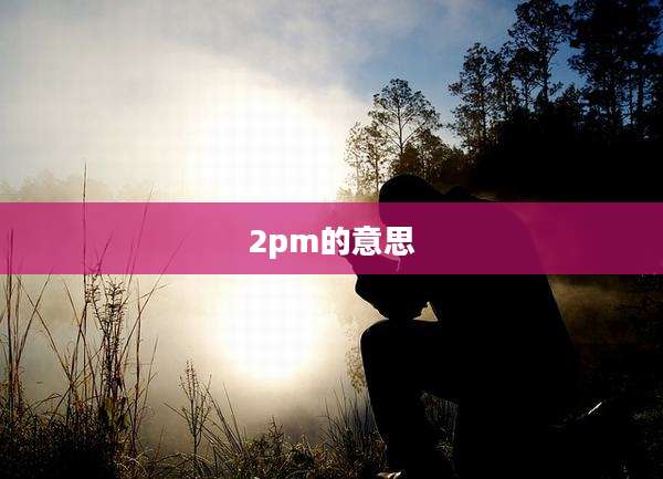2pm的意思