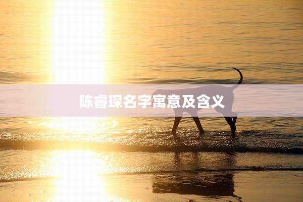 陈睿琛名字寓意及含义