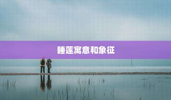 睡莲寓意和象征