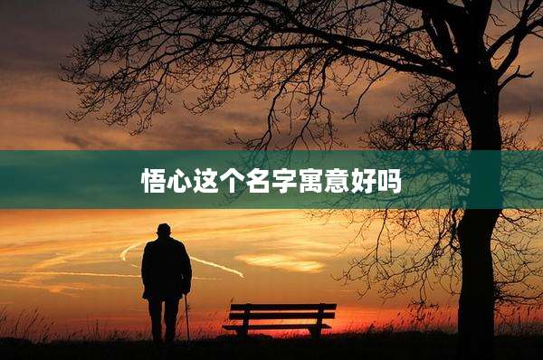 悟心这个名字寓意好吗