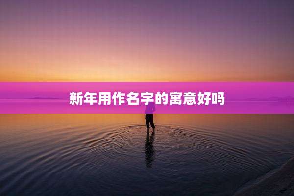 新年用作名字的寓意好吗