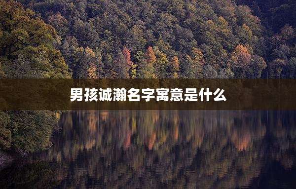 男孩诚瀚名字寓意是什么