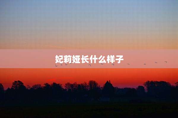 妃莉娅长什么样子