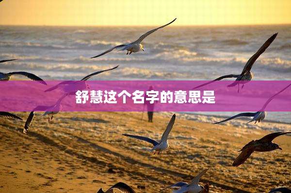 舒慧这个名字的意思是