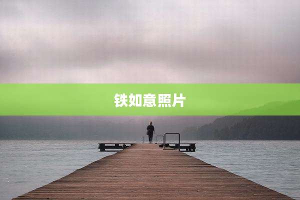 铁如意照片