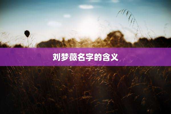 刘梦薇名字的含义