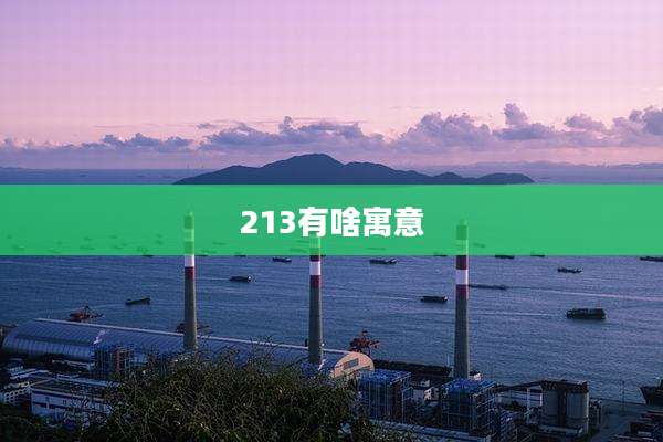 213有啥寓意