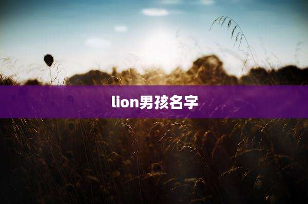 lion男孩名字