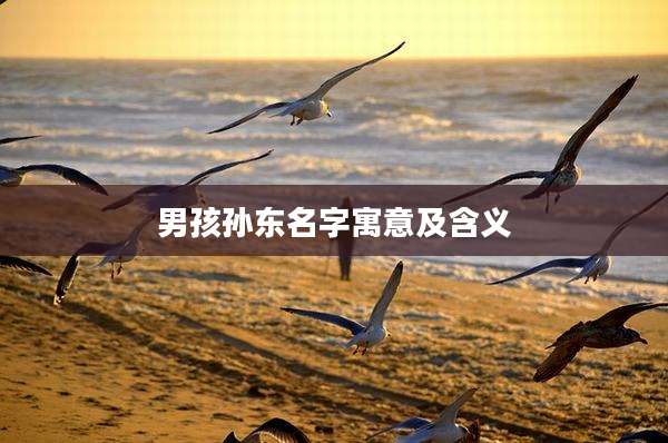 男孩孙东名字寓意及含义