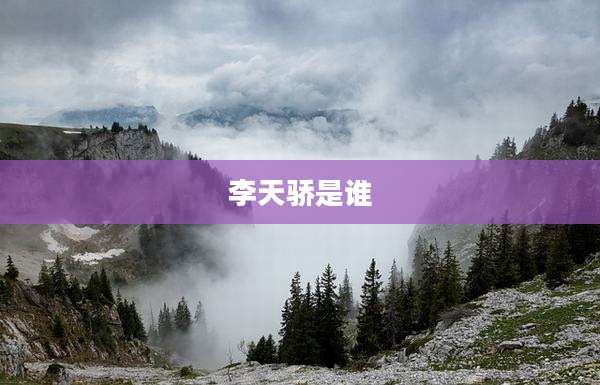 李天骄是谁