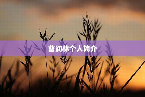 曹润林个人简介