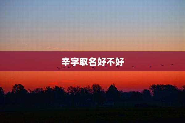 辛字取名好不好