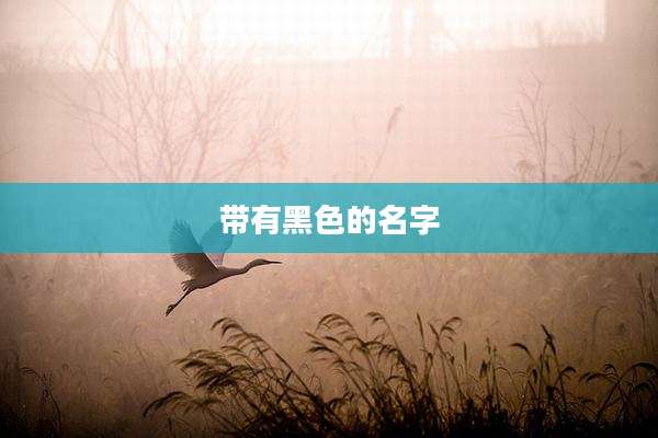 带有黑色的名字