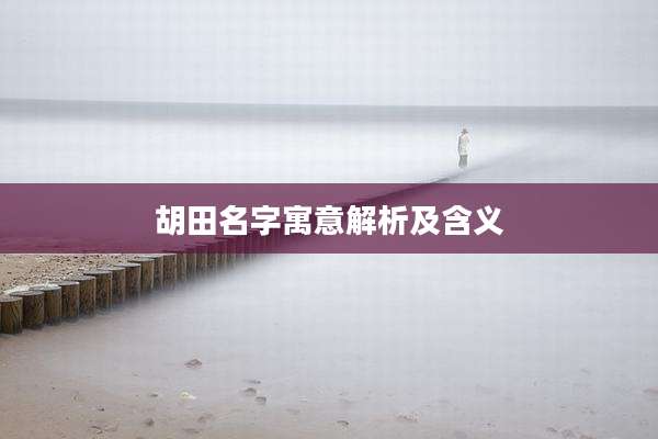 胡田名字寓意解析及含义