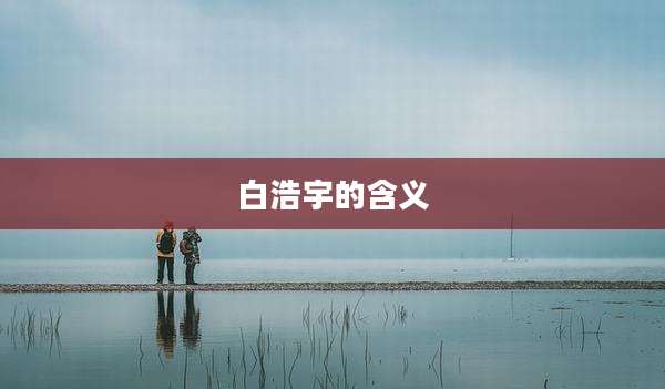 白浩宇的含义