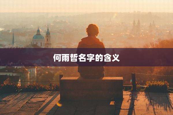何雨哲名字的含义