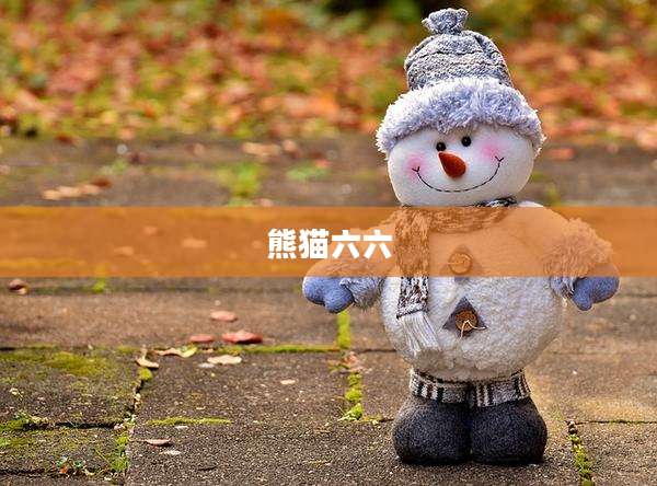 熊猫六六