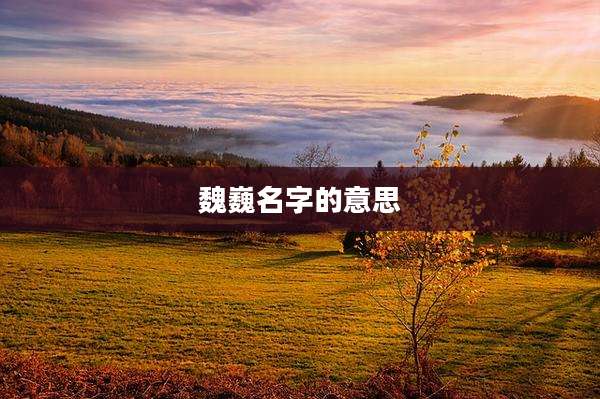 魏巍名字的意思