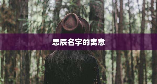 思辰名字的寓意