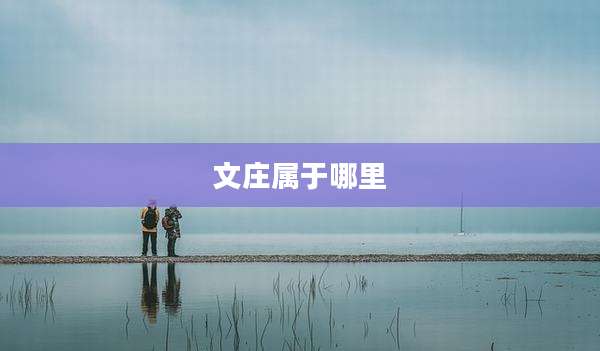 文庄属于哪里