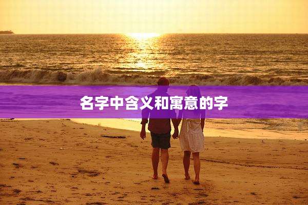 名字中含义和寓意的字