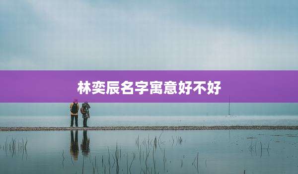 林奕辰名字寓意好不好