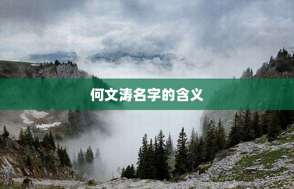 何文涛名字的含义