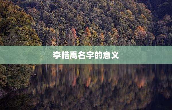 李皓禹名字的意义