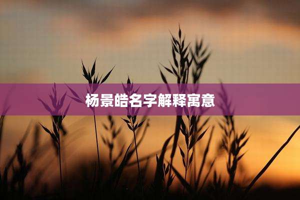 杨景皓名字解释寓意