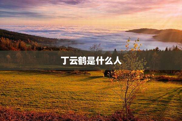 丁云鹤是什么人