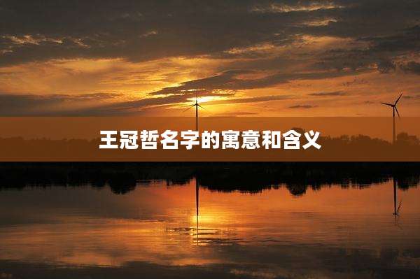 王冠哲名字的寓意和含义