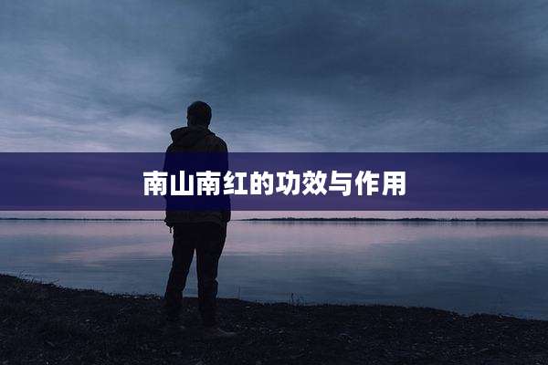 南山南红的功效与作用