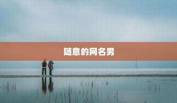随意的网名男
