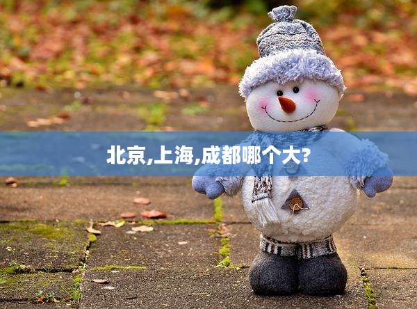 北京,上海,成都哪个大?