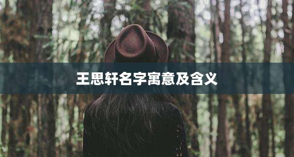 王思轩名字寓意及含义
