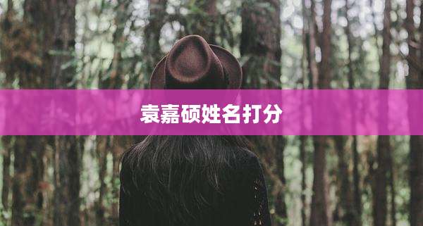 袁嘉硕姓名打分