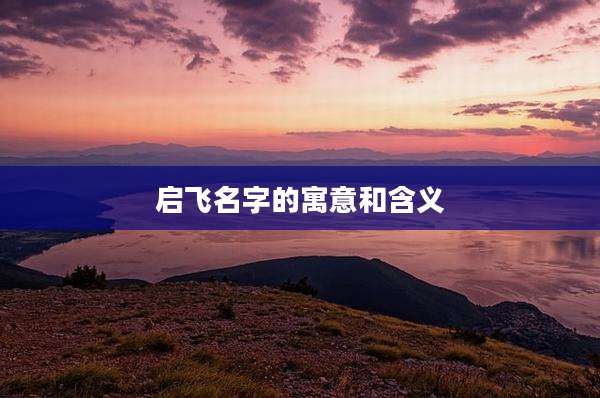 启飞名字的寓意和含义